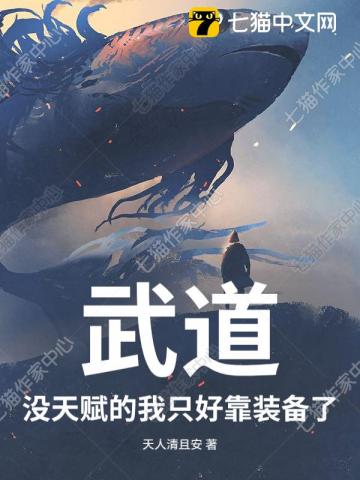 武道：没天赋的我只好靠装备了