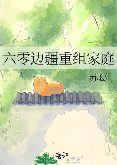 六零边疆重组家庭