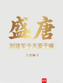 盛唐：刘建军今天要干嘛