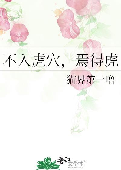 不入虎穴，焉得虎